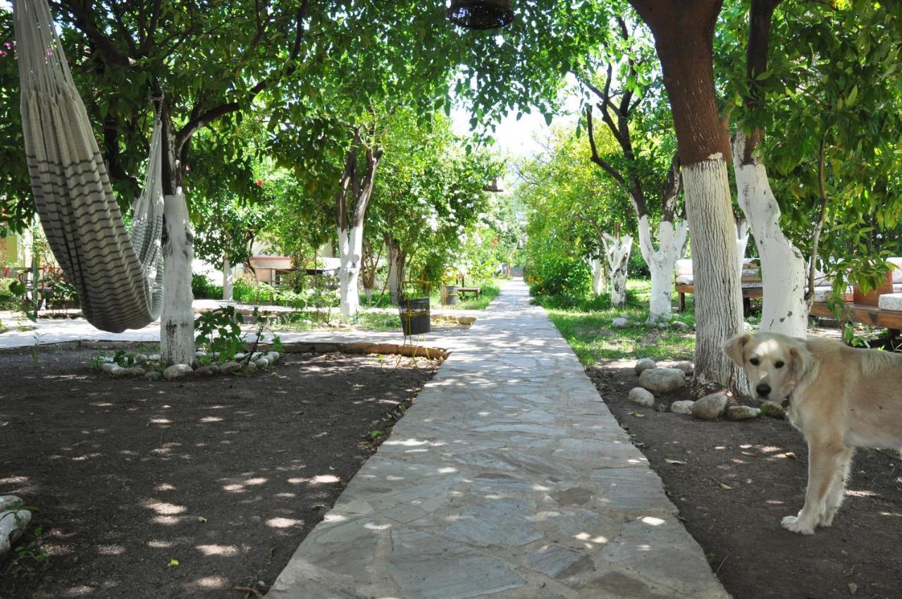 Отель San Simon