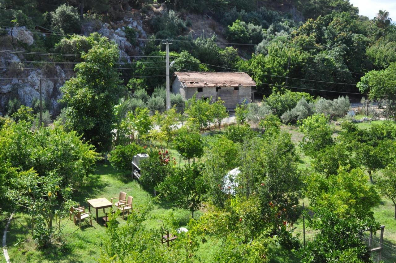 Отель San Simon *
